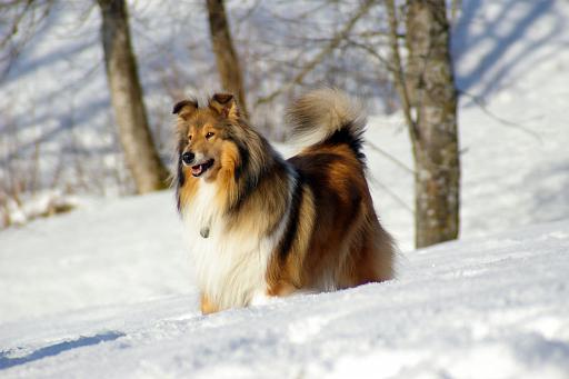 Fotos f. Homepage Galerie 003